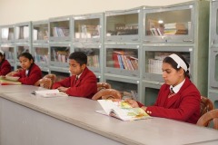 Library-3